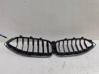8080611,Grill Решетка радиатора BMW Z8 Арт AL15389434024, вид 5
