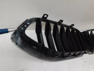 8080611,Grill Решетка радиатора BMW Z8 Арт AL15389434024, вид 6