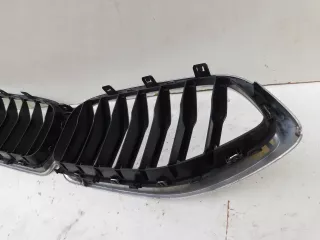 8080611,Grill Решетка радиатора BMW Z8 Арт AL15389434024, вид 7
