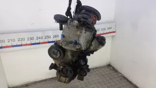 BTS, 03C100034T Двигатель бензиновый Skoda Roomster 1 Арт 8OK08BV01_A286495, вид 1