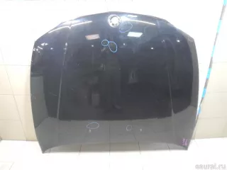 41627162102 BMW Капот BMW X1 E84 Арт E100476331, вид 1