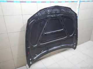 41627162102 BMW Капот BMW X1 E84 Арт E100476331, вид 15