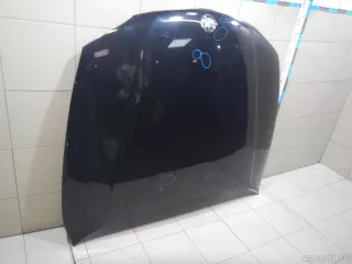 41627162102 BMW Капот BMW X1 E84 Арт E100476331, вид 2