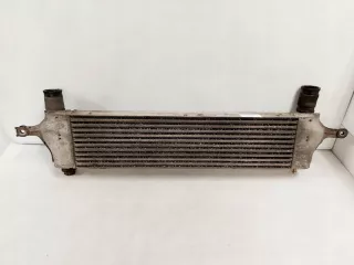 14461-JD50B Интеркулер Nissan NP 300 Арт AL13041991722_2, вид 1