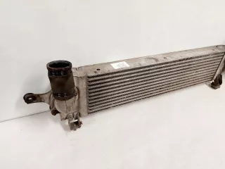 14461-JD50B Интеркулер Nissan NP 300 Арт AL13041991722_2, вид 7