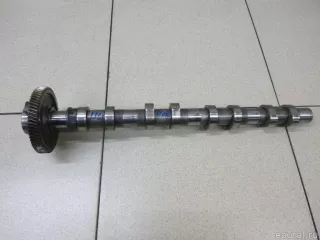 242002F010 Hyundai-Kia Распредвал выпускной Kia Sorento 3 restailing Арт E12593254, вид 1