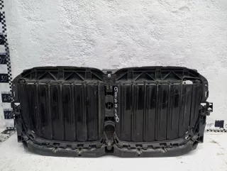 51749465348 Решетка радиатора BMW X7 g07 Арт A977713D, вид 1