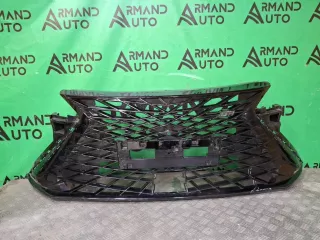 602003684AA, 7 решетка радиатора Omoda S5 Арт 353756RM, вид 1
