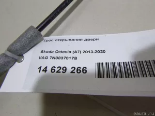 7N0837017B VAG Трос двери передней Volkswagen Teramont Арт E14629266, вид 4