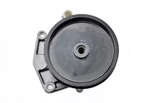 SPW-ME-020 Насос ГУР Mercedes R W251 Арт AL13095376581_2, вид 4