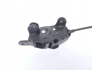 7162147 Амортизатор багажника BMW X5 E70 Арт AL13122057359, вид 3