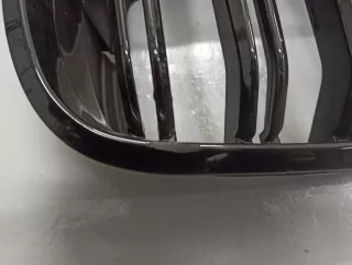 51137171396 Решетка радиатора BMW X6 E71/E72 Арт AL13179113179, вид 4