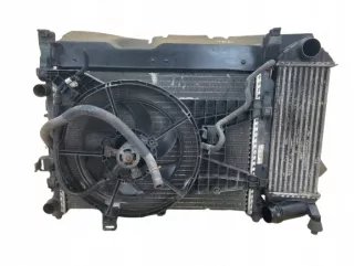144963234R Кассета радиаторов Mercedes Citan W415 Арт AL15324863900, вид 1