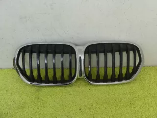 8493451 Решетка радиатора BMW X1 F48 Арт AL15329637219, вид 1