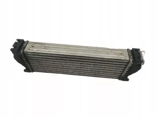 CC119L440AF Интеркулер Ford Tourneo Арт AL15333667108, вид 1