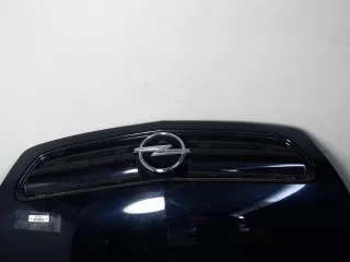  решетка радиатора Opel Signum Арт 20012385/1, вид 1