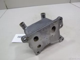 213055917R Renault Радиатор масляный Renault Arkana Арт E15040209, вид 6
