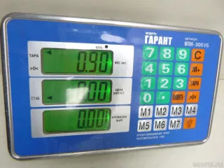 767489097R Renault Локер задний правый Renault Megane 3 Арт E48425906, вид 7