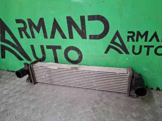 302000800AA, 7 интеркулер EXEED RX Арт 353718RM, вид 3