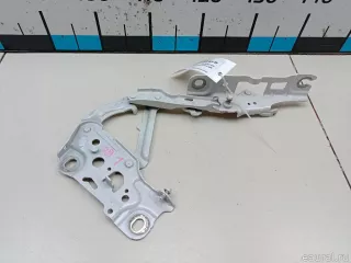 41007427051 BMW Петля капота левая BMW 7 G11/G12 Арт E48438023, вид 4