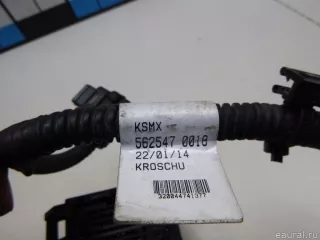 5222520 Ford Жгут проводов (Проводка) Ford EcoSport Арт E48460286, вид 9