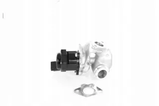 GH-732549 Клапан EGR Ford Focus 2 Арт AL13350758372_2, вид 1