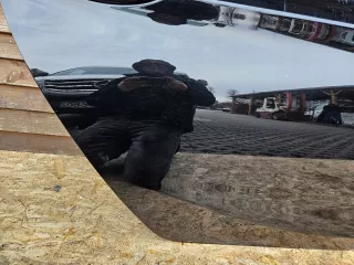 ASTRAK Дверь задняя правая Opel Astra K Арт AL15269894309, вид 13