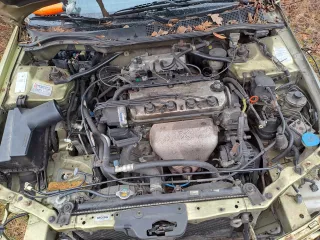 675lku Крышка багажника (дверь 3-5) Honda Accord 10 Арт AL15241874932