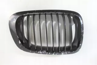 8208668 Решетка радиатора BMW 1 E81/E82/E87/E88 Арт AL13534950586, вид 1