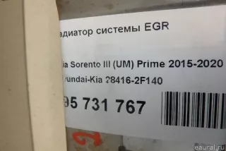 284162F140 Hyundai-Kia Радиатор системы EGR Kia Carnival 2 Арт E95731767, вид 12