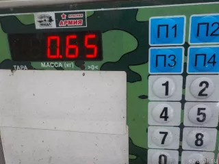 82320176 Volvo Петля капота левая Volvo FH Арт E36264288, вид 5