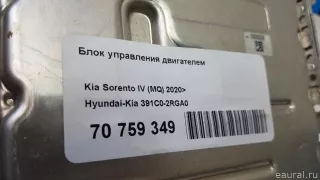 391C02RGA0 Hyundai-Kia Блок управления двигателем Kia Sorento 4 Арт E70759349, вид 7