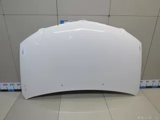 4894794AD Chrysler Капот Chrysler Voyager 5 Арт E81043436, вид 1