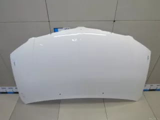 4894794AD Chrysler Капот Chrysler Voyager 5 Арт E81043436, вид 2