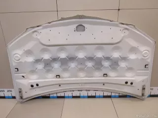 4894794AD Chrysler Капот Chrysler Voyager 5 Арт E81043436, вид 7