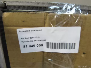 25310B2060 Hyundai-Kia Радиатор основной Kia Soul 2 restailing Арт E81049000, вид 7