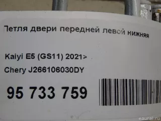 J266106030DY Chery Петля двери передней левой нижняя Chery Tiggo  2 Арт E95733759, вид 7