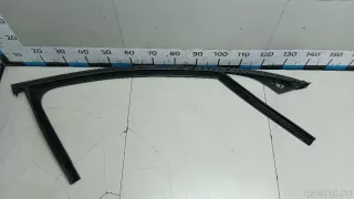 2137252800 Mercedes Benz Уплотнитель стекла двери Mercedes S C217 Арт E103066469, вид 1