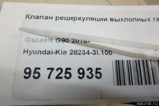 282343L100 Hyundai-Kia Клапан EGR Genesis G80 Арт E95725935, вид 6