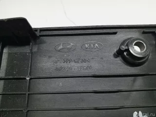 224052B800 Hyundai-Kia Накладка декоративная Kia Soul 1 Арт E31632456, вид 3