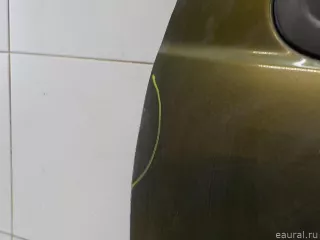 821007807R Renault Дверь задняя правая Renault Duster 2 Арт E84806076, вид 6