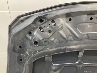 41007290944 BMW Капот BMW X4 F26 Арт E31642872, вид 17