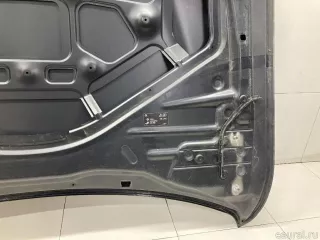 41007290944 BMW Капот BMW X4 F26 Арт E31642872, вид 21