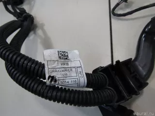 12518678974 BMW Жгут проводов (Проводка) MINI COUNTRYMAN F60 Арт E81033042, вид 3
