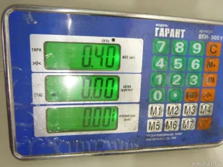 5NN839462A VAG Стеклоподъемник электр. задний правый Volkswagen Tiguan 2 Арт E48410648, вид 6