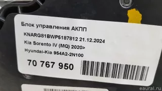954A22N100 Hyundai-Kia Блок управления АКПП Kia Sorento 4 Арт E70767950, вид 7