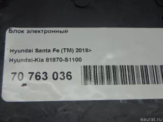 81870S1100 Hyundai-Kia Блок электронный Hyundai Santa FE 4 (TM) restailing Арт E70763036, вид 9
