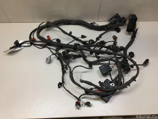 4001103XKQ04A Great Wall Проводка (коса) Haval F7 Арт E23621202, вид 2