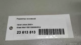 1301133XGW01A Great Wall Радиатор основной Haval Jolion Арт E23613513, вид 15