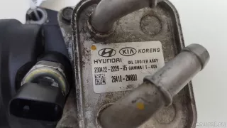 263002M805 Hyundai-Kia Корпус масляного фильтра Kia K5 3 Арт E70759951, вид 6